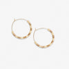 Jennifer Colorblock Small Sequin Hoop Earrings Ivory Wholesale