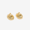 Pearl Cockle Shell Earrings Brass Wholesale